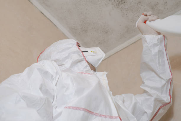 South Salt Lake, UT Mold Removal Company