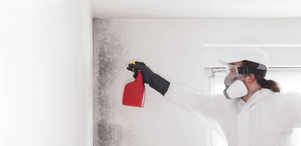 Best Mold Testing  in Soh Salt Lake, UT